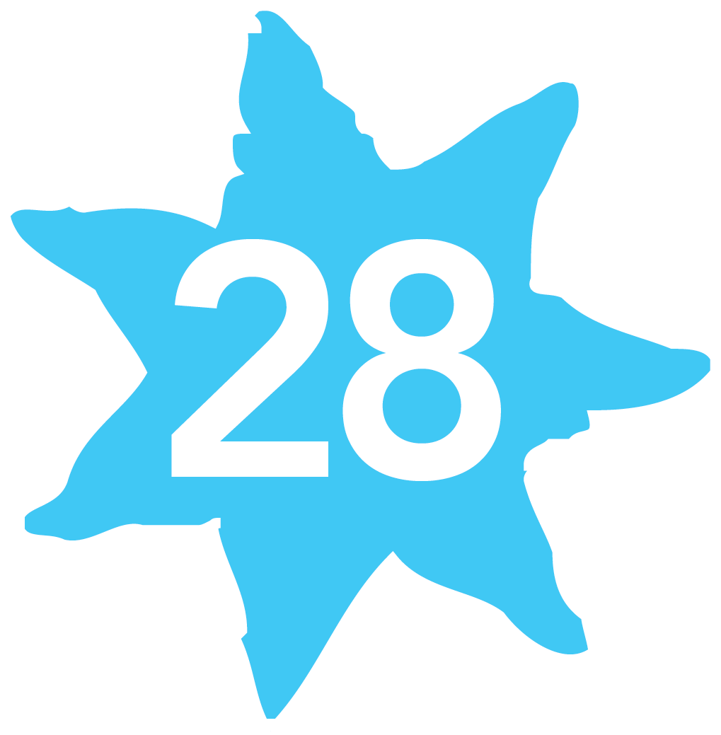 28a, 28