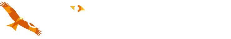 10, 10A