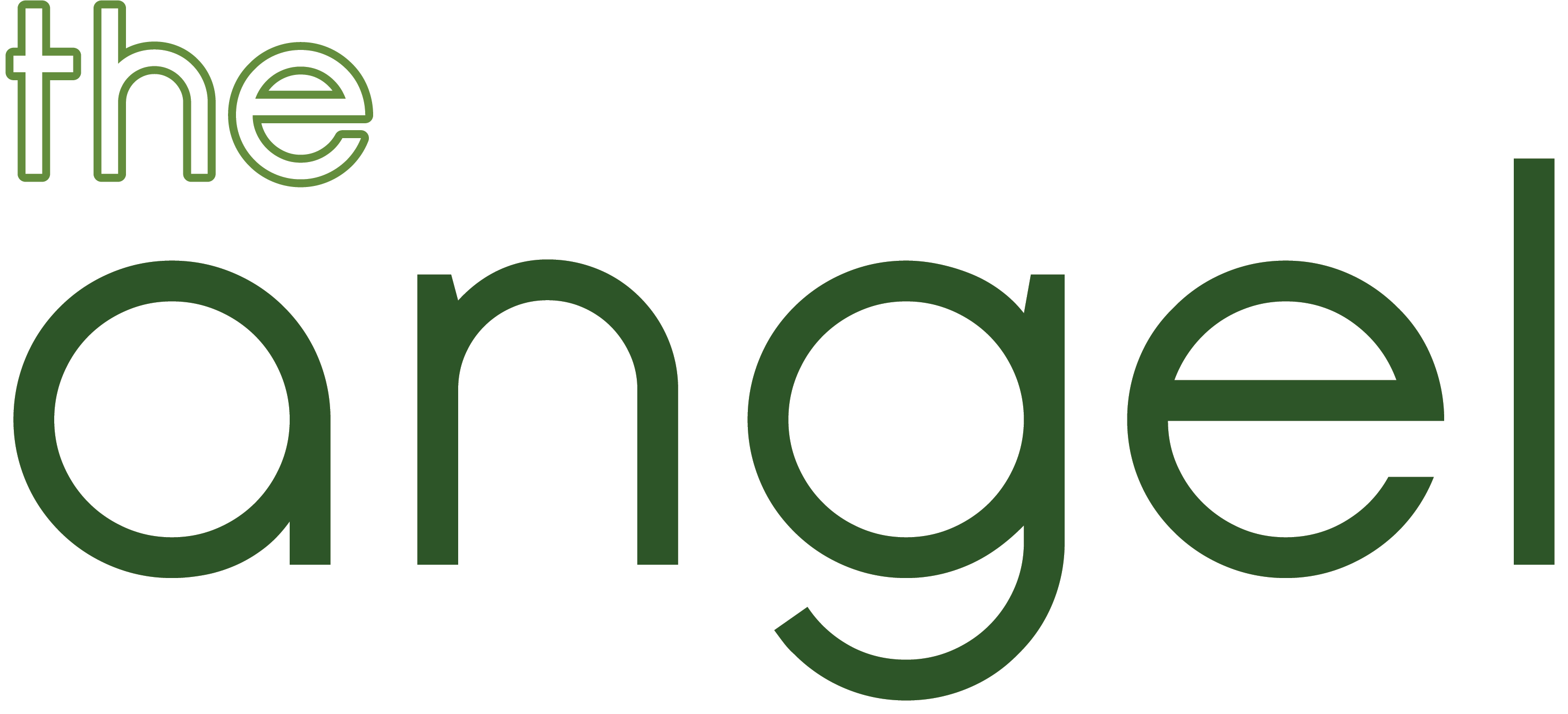 Angel 21