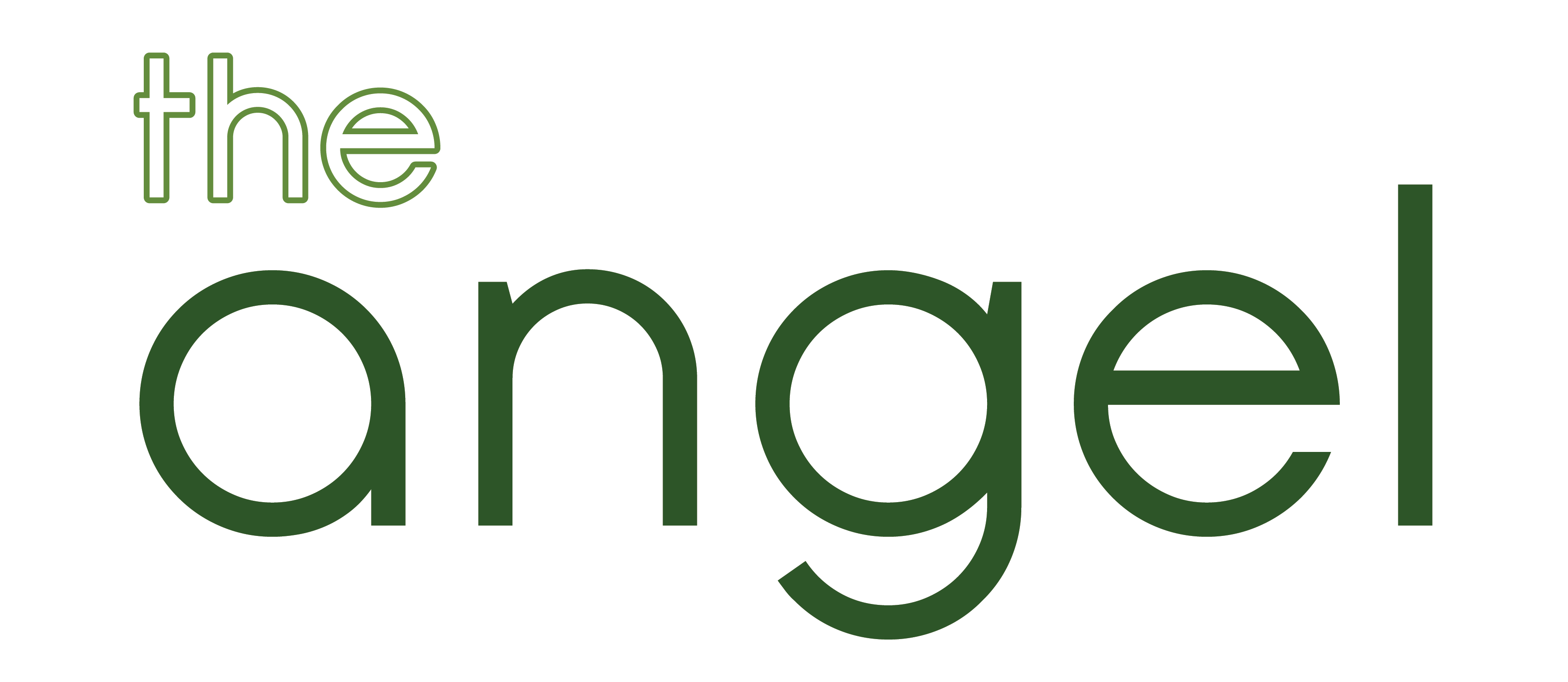 Angel 21