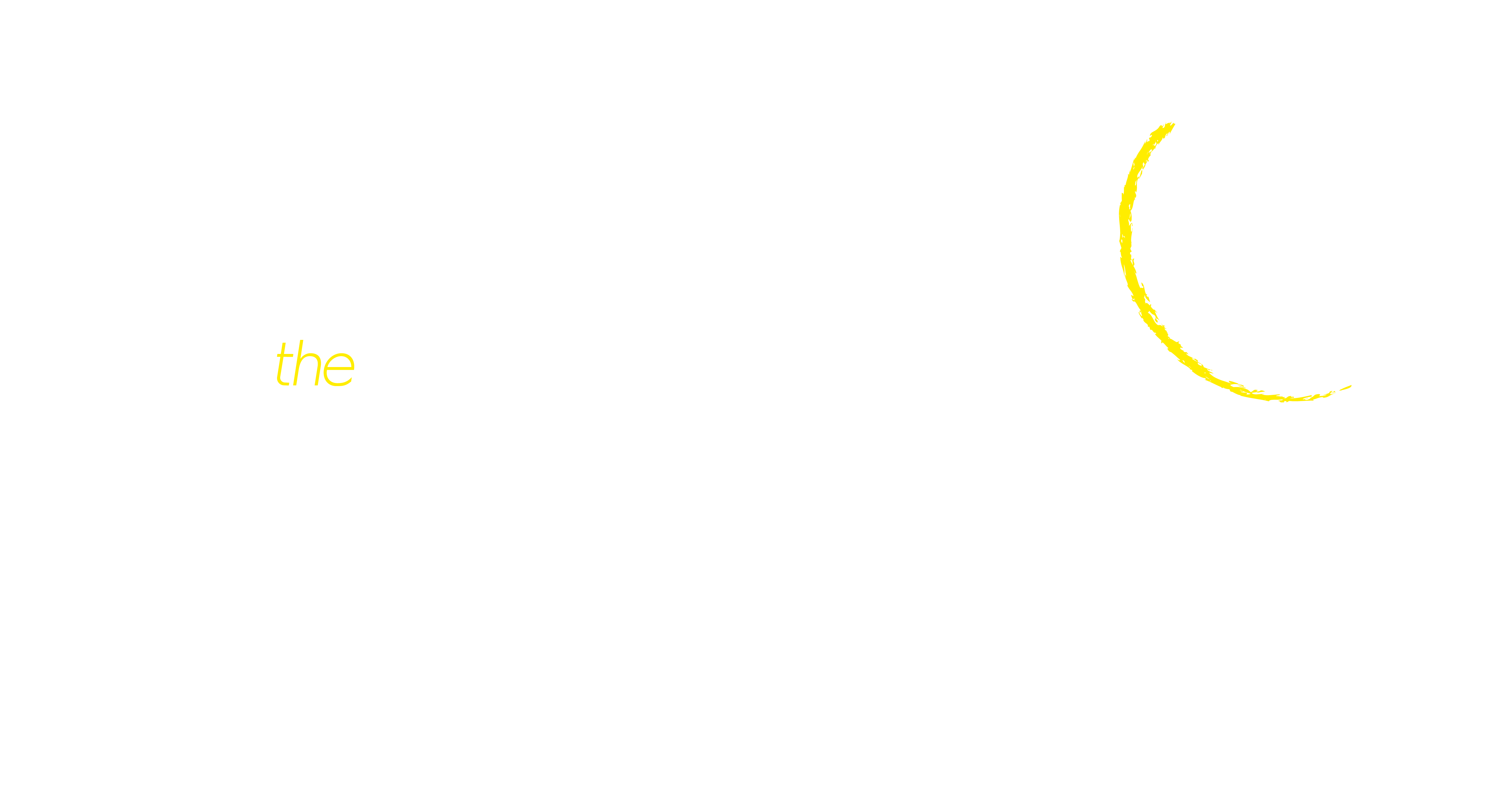the airline logo
