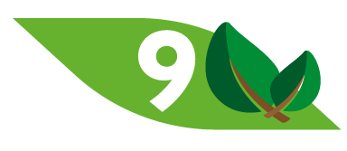 9, 9A