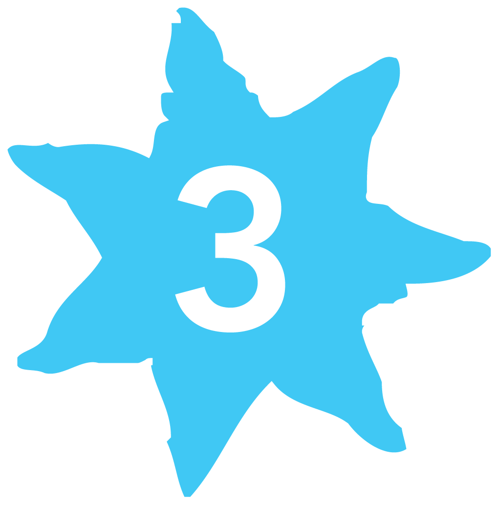3