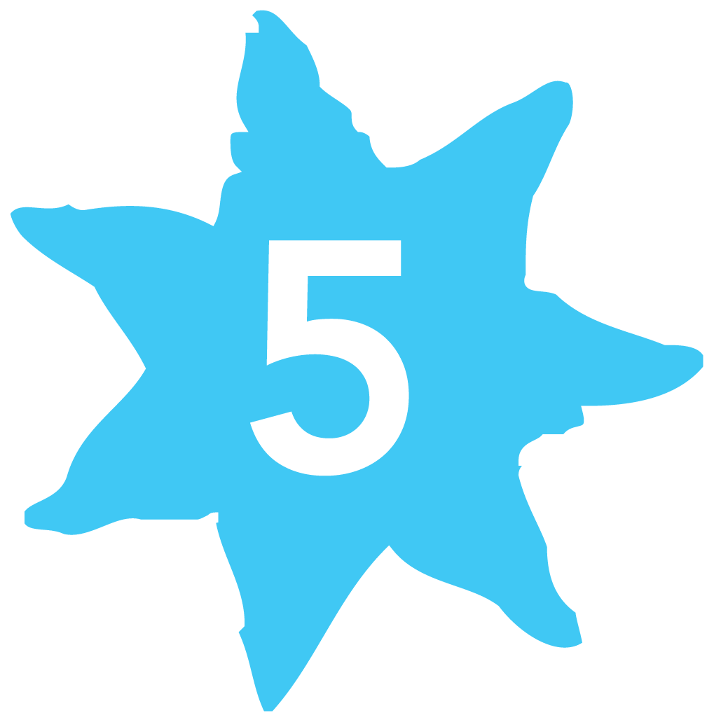 5
