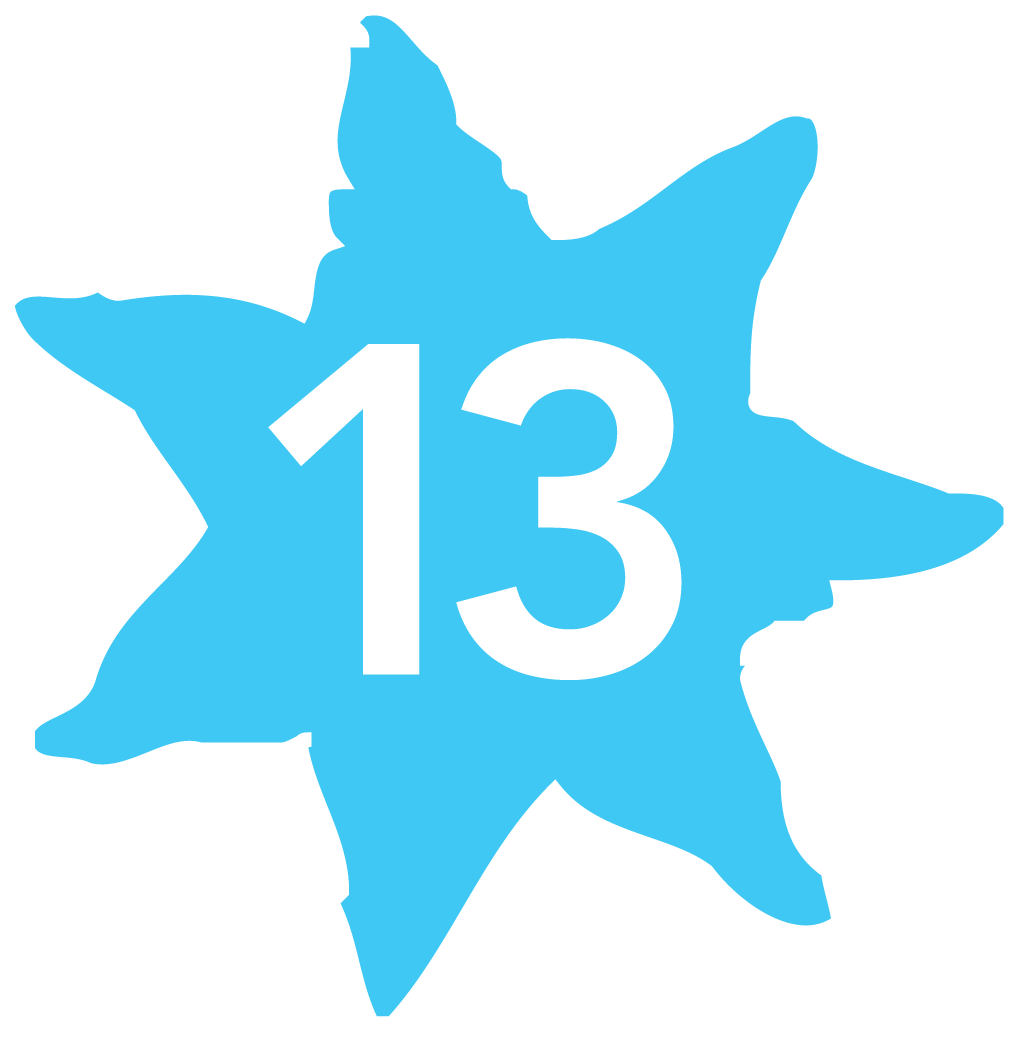 13