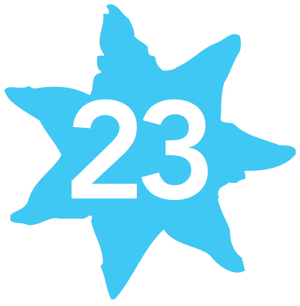 23